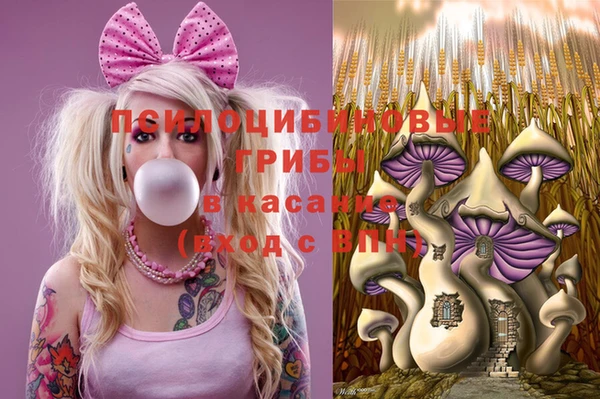 прущая мука Абаза