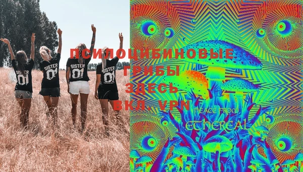 прущая мука Абаза